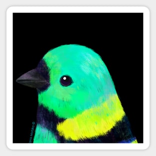 Green Headed Tanager Bird Magnet